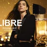 Paris8 YSL Libre XMAS Banners_904x715px