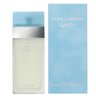 Perfume_Dolce___Gabbana_Light_Blue_100ml_Original_1