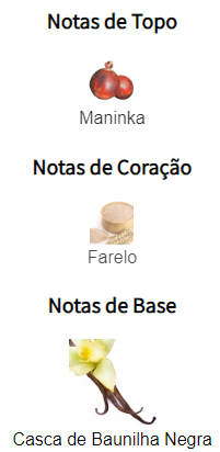 notas magnetic