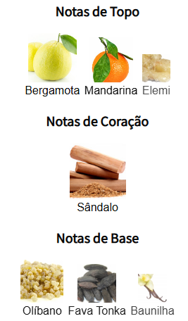 notas sauvage parfum