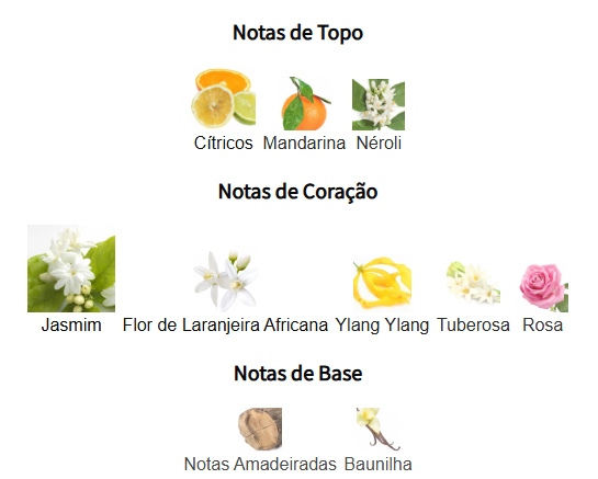 notas jadore edt
