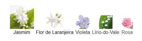 notas jadore lor