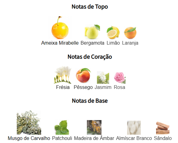 notas nomade