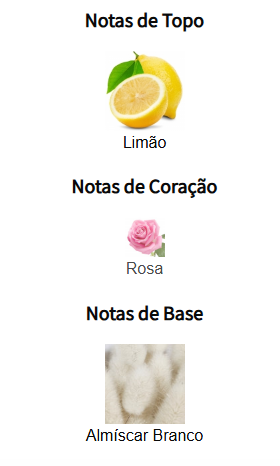 notas donna yellow dream
