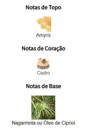 notas hero parfum