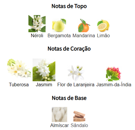notas bloom edt
