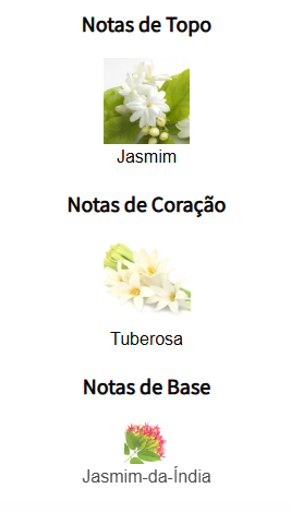 notas gucci bloom edp