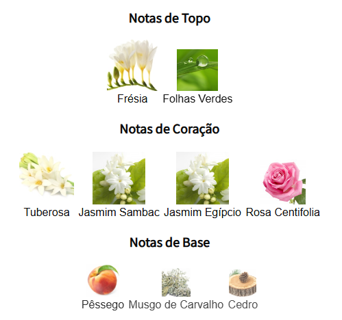 notas flower market