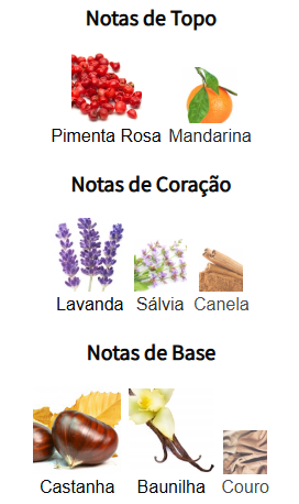 notas armani you parfum