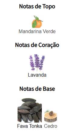 notas code edt