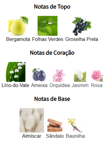 notas laventure gold