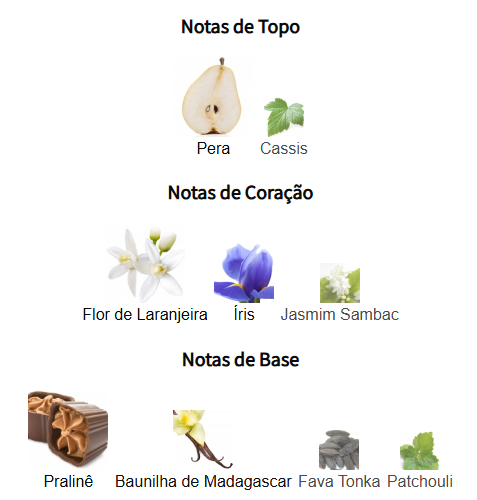 notas camellia