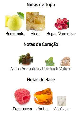 notas orientica dynasty