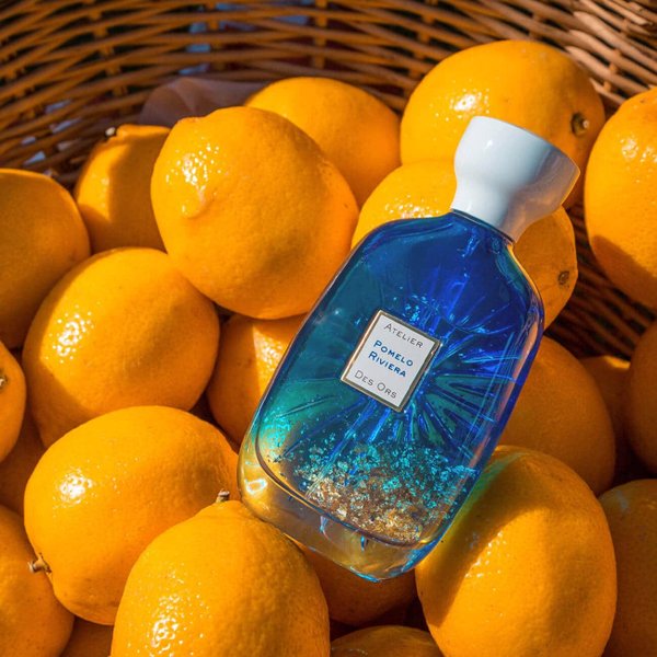 A48CA927 28CD 4E4B B0C1 84DB02657585