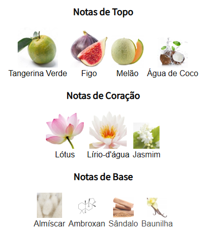 notas mayar natural intense