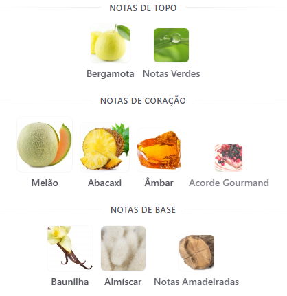 notas amber oud gold edition