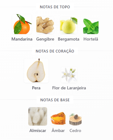 notas art of universe