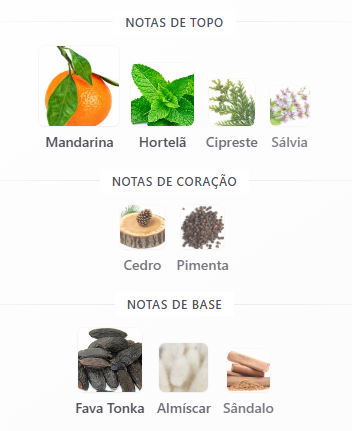 notas alpine homme sport