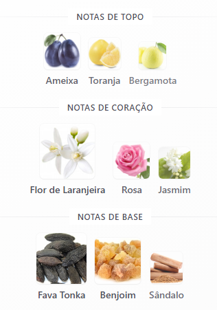 notas aristocrat rose