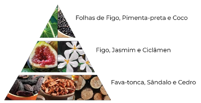 notas fico toscano