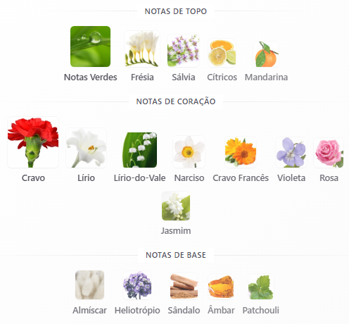 notas eternity fem