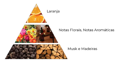 notas arancio