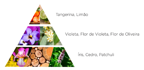 notas sabonete iris florentina