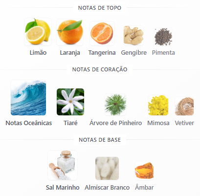 notas french riviera