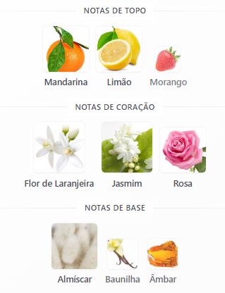 notas maghri