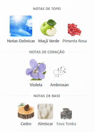 notas brioni edp