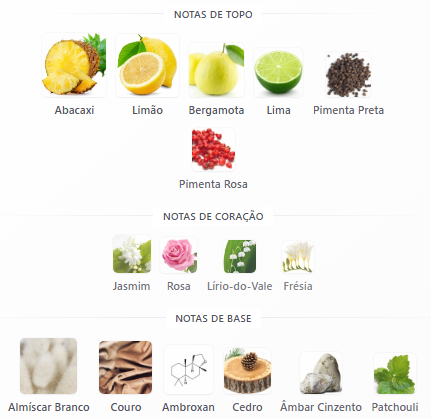 notas club de nuit parfum